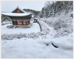  2024Ÿ55220  ν  ź 688-4      (1)