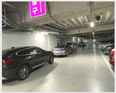  2024Ÿ��82680 ��� ���ν� ���ﱸ ��õ��201���� 14, ��1����017ȣ (�󼭵�,�����̾�����ĳ�����Ｍõ)    ����Ʈ��������