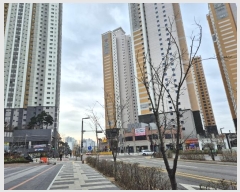  2024Ÿ100281  ȭ ź 124-6, 1117ȣ (굿,̳ʸŽ｣)     ,繫ǰ