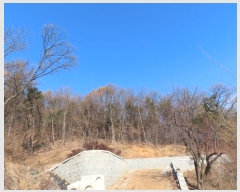  2024Ÿ101314  ȭ Ⳳ  85-17      (Ӿ)