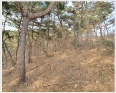  2024Ÿ101314  ȭ Ⳳ  85-17      (Ӿ)