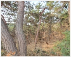  2024Ÿ101314  ȭ Ⳳ  85-17      (Ӿ)