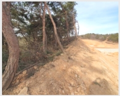  2024Ÿ101314  ȭ Ⳳ  85-17      (Ӿ)