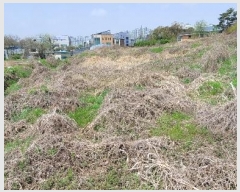  2024Ÿ58519   ̵ܻ 63-1       ð