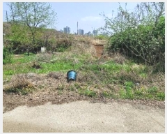  2024Ÿ58519   ̵ܻ 63-1       ð