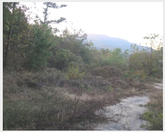  2024Ÿ��92120  ����