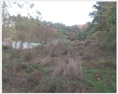  2024Ÿ��92120  ����