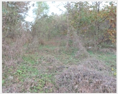  2024Ÿ��92120  ����