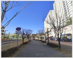  2024Ÿ99237  ȭ ź24 199, 483 2201ȣ (õ,ź ʽ)   Ʈ