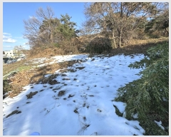  2024Ÿ��99404 ��� ȭ���� ������ ���縮 1117-1      ����(��1)���