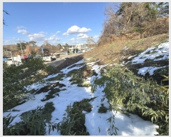  2024Ÿ��99404 ��� ȭ���� ������ ���縮 1117-1      ����(��1)���