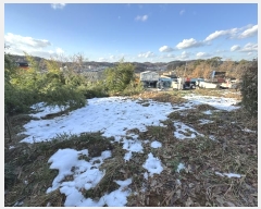  2024Ÿ��99404 ��� ȭ���� ������ ���縮 1117-1      ����(��1)���