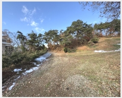  2024Ÿ��99404 ��� ȭ���� ������ ���縮 1117-1      ����(��1)���