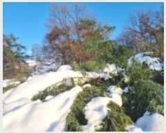  2024Ÿ��99404 ��� ȭ���� ������ ���縮 1117-1      ����(��1)���