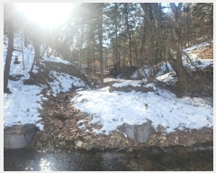  2024Ÿ100953  ν óα  븮 321     ()