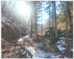  2024Ÿ100953  ν óα  븮 321     ()