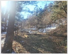  2024Ÿ100953  ν óα  븮 321     ()