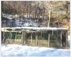  2024Ÿ100953  ν óα  븮 321     ()