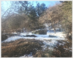  2024Ÿ100953  ν óα  븮 321     ()