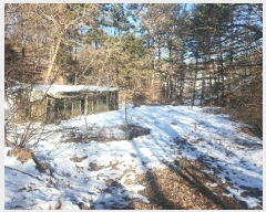  2024Ÿ100953  ν óα  븮 321     ()