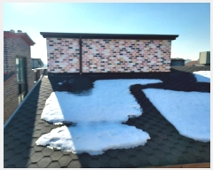  2024Ÿ101352  ȭ Ⳳ Ÿ 1272-5      ٰð