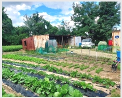  2024Ÿ9418  ȭ 絿 65-147       ()