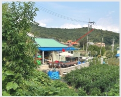  2024Ÿ9814  ȭ ȸ ȸ 289-12      ()