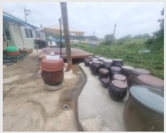  2024Ÿ9814  ȭ ȸ ȸ 289-12      ()