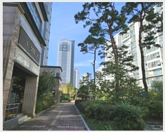  2024Ÿ11701   ݾϵ 517 Ʈũ 503 4403ȣ    Ʈ