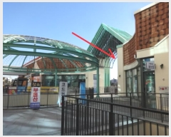  2024Ÿ��13547  ����Ʈ��������