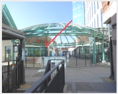  2024Ÿ��13547  ����Ʈ��������