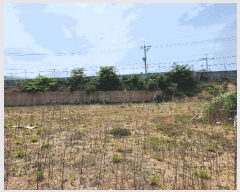  2024Ÿ��75798 ��� ȭ���� ��ȸ� �� 289-6      ����(��1)���