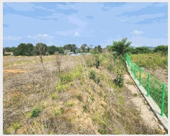  2024Ÿ��75798 ��� ȭ���� ��ȸ� �� 289-6      ����(��1)���