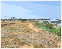  2024Ÿ��75798 ��� ȭ���� ��ȸ� �� 289-6      ����(��1)���