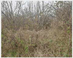  2024Ÿ79042  ȭ Ⳳ ฮ 287-3      ()