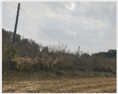  2024Ÿ79042  ȭ Ⳳ ฮ 287-3      ()