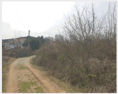  2024Ÿ79042  ȭ Ⳳ ฮ 287-3      ()