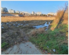  2024Ÿ79042  ȭ Ⳳ ฮ 287-3      ()