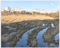  2024Ÿ79042  ȭ Ⳳ ฮ 287-3      ()