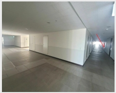  2024Ÿ88954    22, 8821ȣ (,Ƽ)     ǽڰ