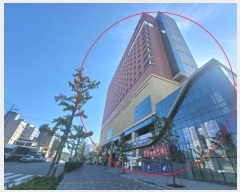  2024Ÿ88954    22, 8821ȣ (,Ƽ)     ǽڰ