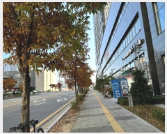  2024Ÿ94805  ȭ ź 447-20, 4403ȣ (굿,۽Ʈ)     ǽڰ