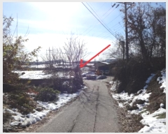  2024Ÿ96962  ȭ ۻ  194      ð