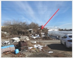  2024Ÿ96962  ȭ ۻ  194      ð