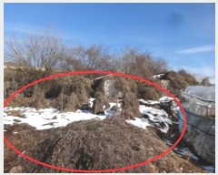  2024Ÿ96962  ȭ ۻ  194      ð