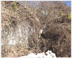  2024Ÿ96962  ȭ ۻ  194      ð