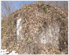  2024Ÿ96962  ȭ ۻ  194      ð