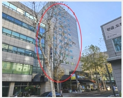  2024Ÿ��97354  �ܵ�(ȣ��)���