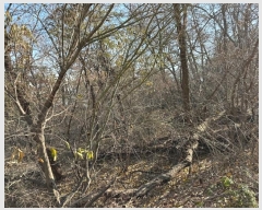  2024Ÿ��97736  �Ӿ߰��