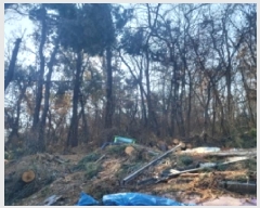  2024Ÿ��97736  �Ӿ߰��